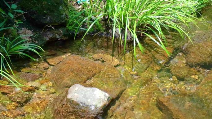 河边流水河流河水小溪山泉泉水水流慢动作美