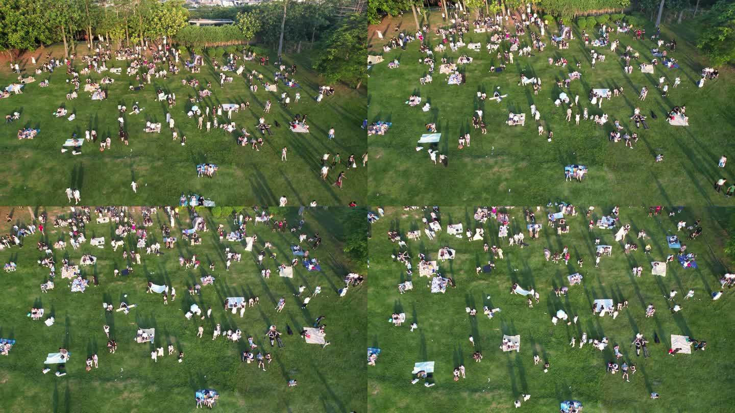 草坪上的人群