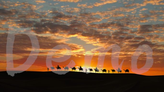 剪影沙漠骆驼前进
