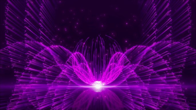 紫色浪漫线条舞美循环