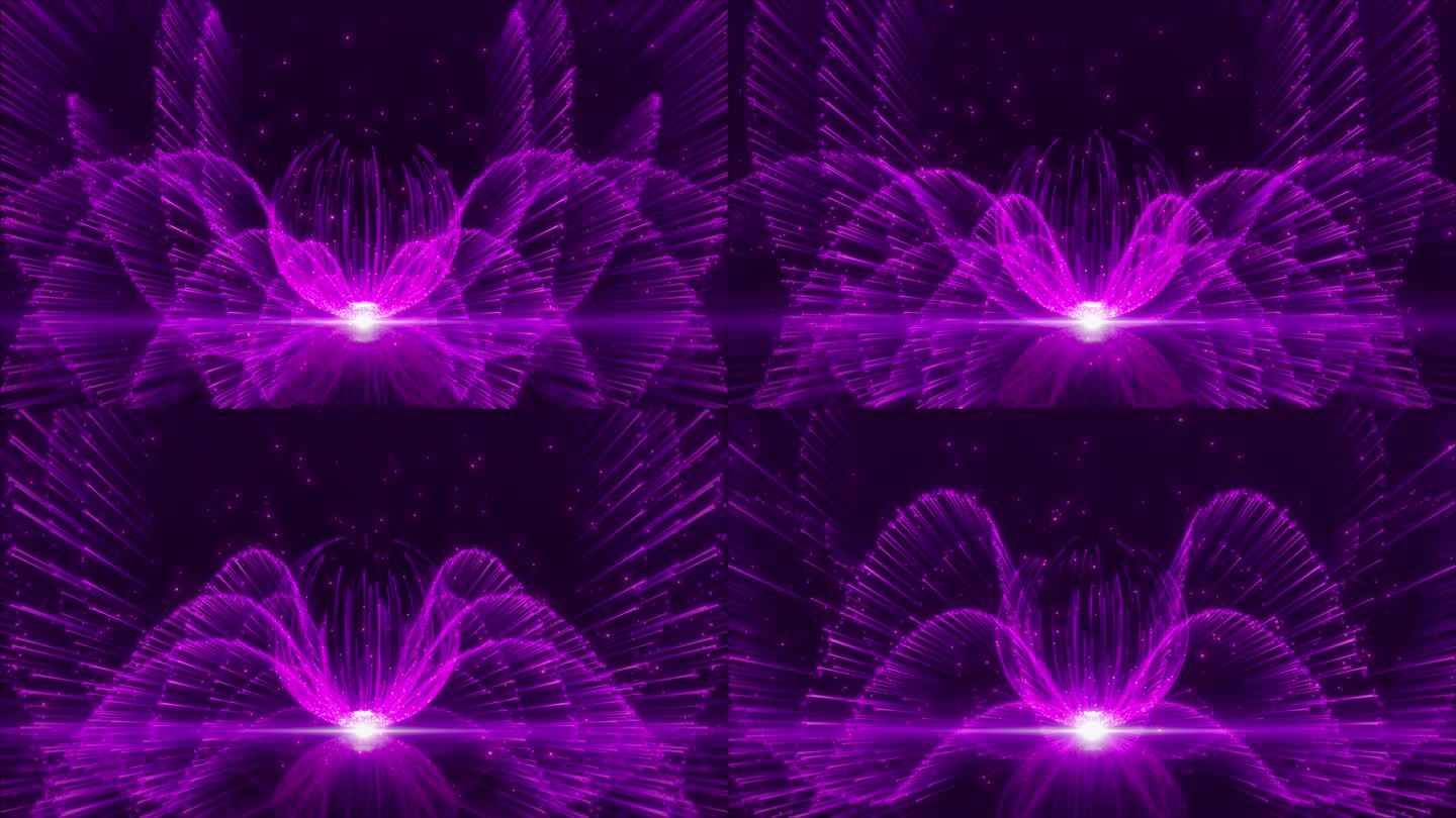紫色浪漫线条舞美循环