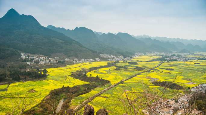 贵州兴义万峰林油菜花田航拍延时素材