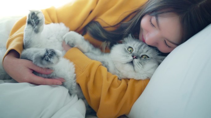 快乐的亚洲女人抱着毛茸茸的灰猫，放松地躺在家里的床上，宠物和主人之间的感人时刻，宠物的友谊。