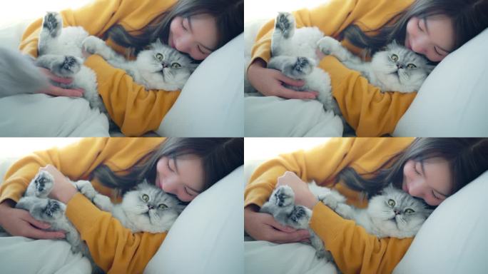 快乐的亚洲女人抱着毛茸茸的灰猫，放松地躺在家里的床上，宠物和主人之间的感人时刻，宠物的友谊。