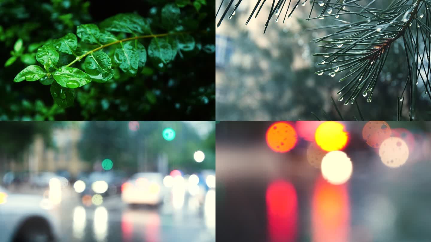雨中植物 雨中街景 雨中灯光 下雨唯美