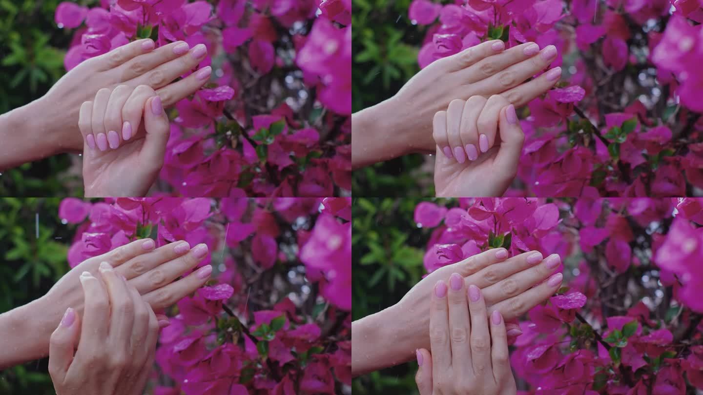 女性的手与美丽的自然粉红色优雅的美甲。大雨。
