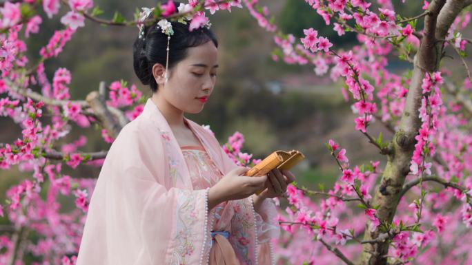 汉服美女在桃花林中翻阅书简