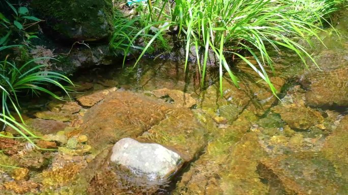 河边流水河流河水小溪山泉泉水水流慢动作美