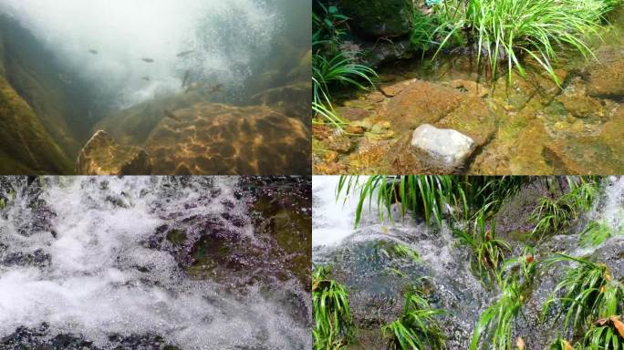 河边流水河流河水小溪山泉泉水水流慢动作美