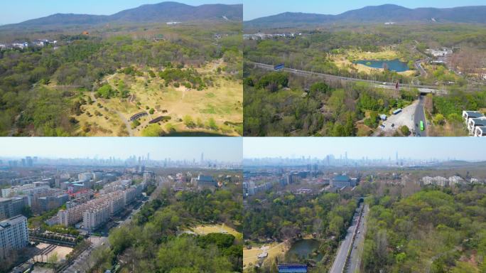 南京市玄武区钟山风景名胜区城市风景航拍