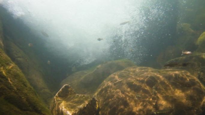 河边流水河流河水小溪山泉泉水水流慢动作美