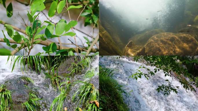 河边流水河流河水小溪山泉泉水水流慢动作美