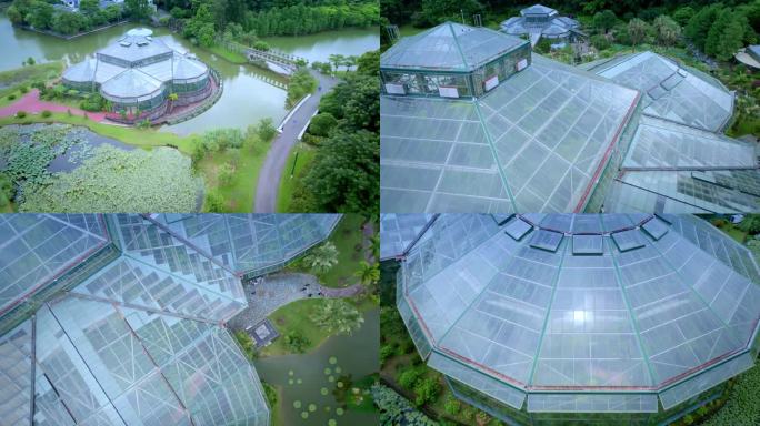 航拍广州中国科学院华南植物园热带温室长镜