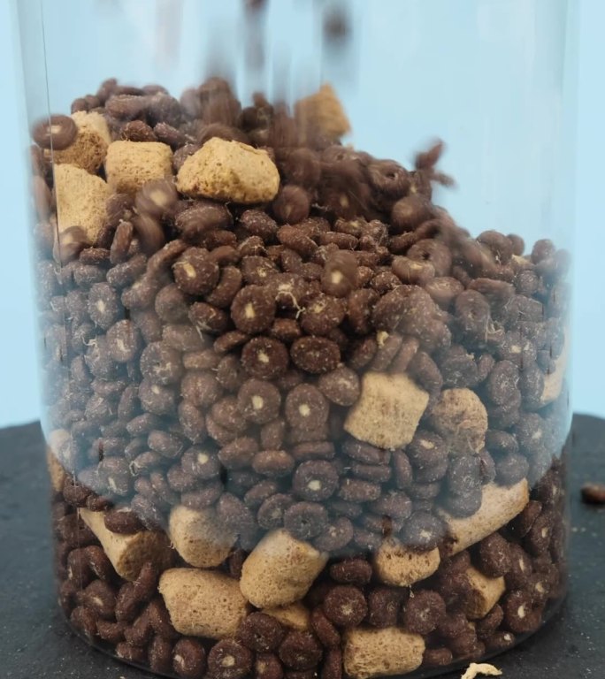 猫粮狗粮宠物零食倾倒在罐子里的视频
