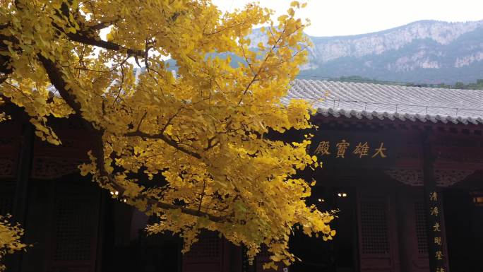 济南灵岩寺