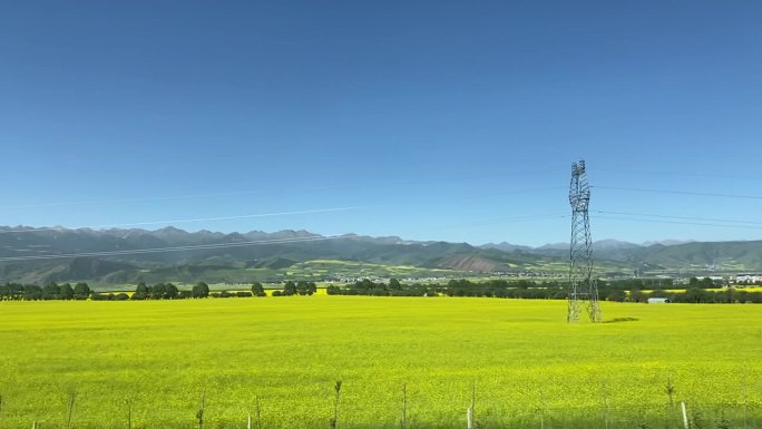 风景高铁路过油菜花田