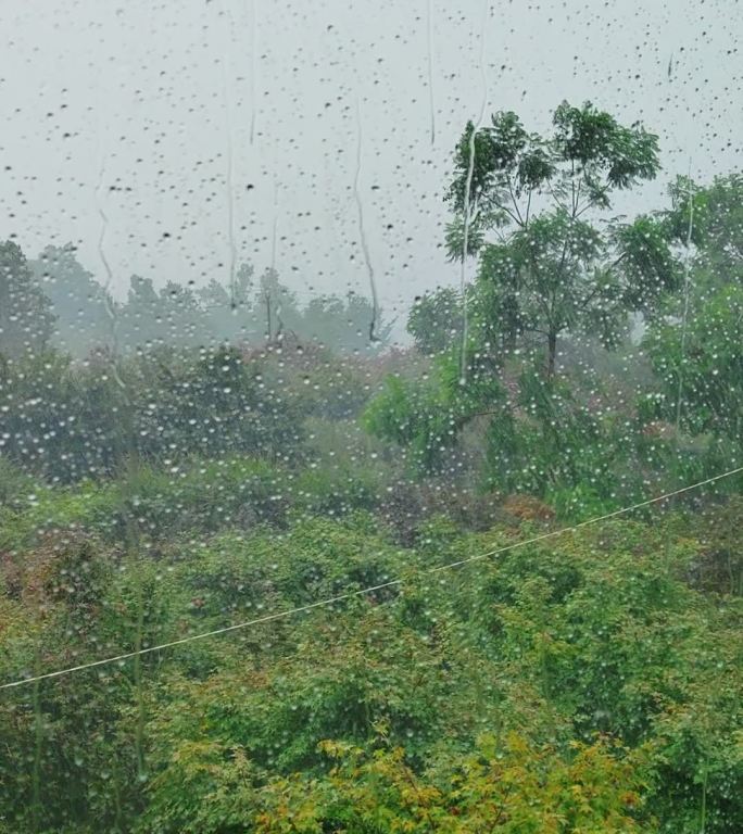 雨中宅家