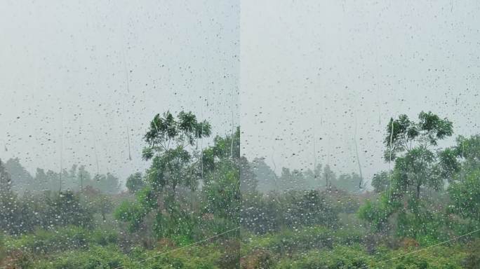 雨中宅家