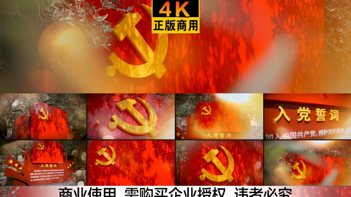 党旗橄榄枝 入党誓词