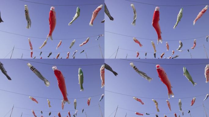在风中飞舞的鲤鱼彩带，儿童节，日本
