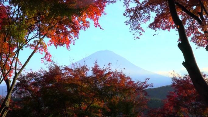 在枫叶丛中看到的富士山