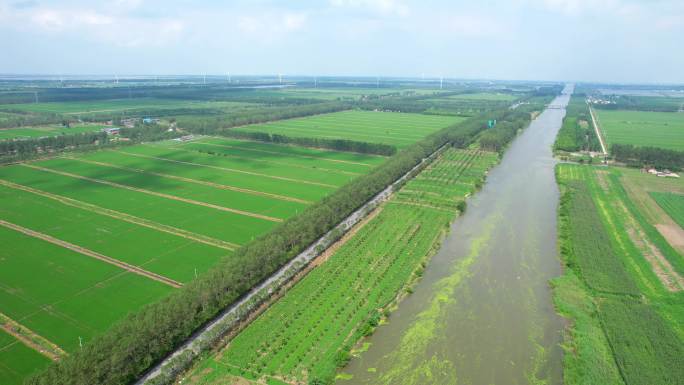 4K航拍农田农业河流蓝天白云乡村发展