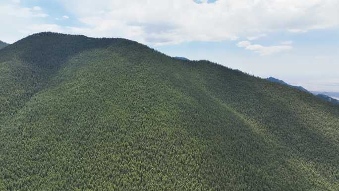 原创素材高山