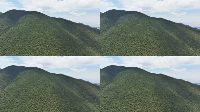 原创素材高山