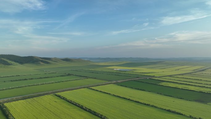 航拍垦区夏日田野风光