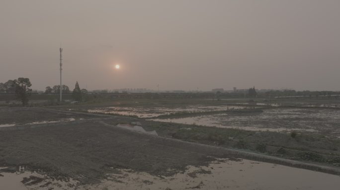 01下午夕阳航拍成都绕城高速湿地公园农田