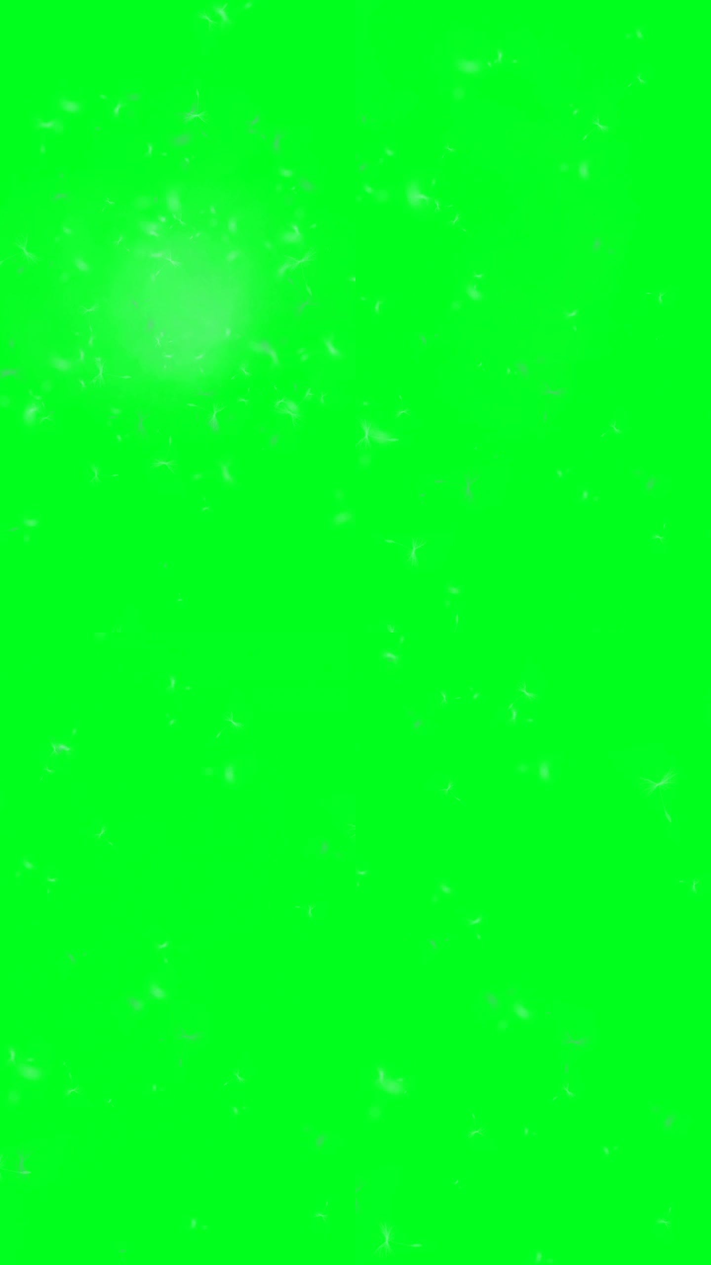 蒲公英种子和云上的绿色屏幕垂直视频
