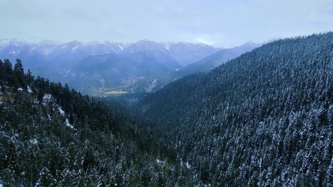 林芝 318  雪山 河流 西藏