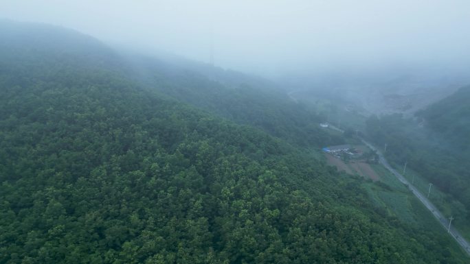 山区 野外 森林 大雾 原生态