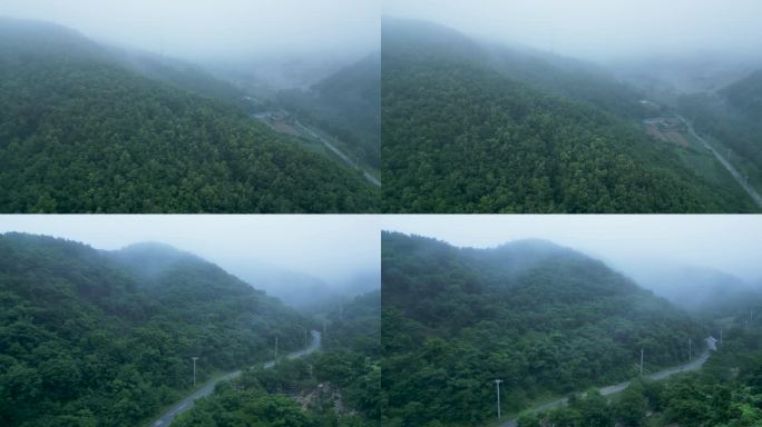山区 野外 森林 大雾 原生态