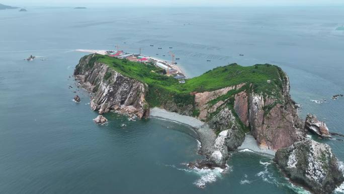 海岛 濒危鸟类