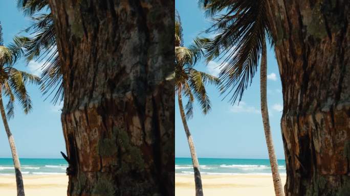 4K竖屏拍摄海南唯美椰树海滩