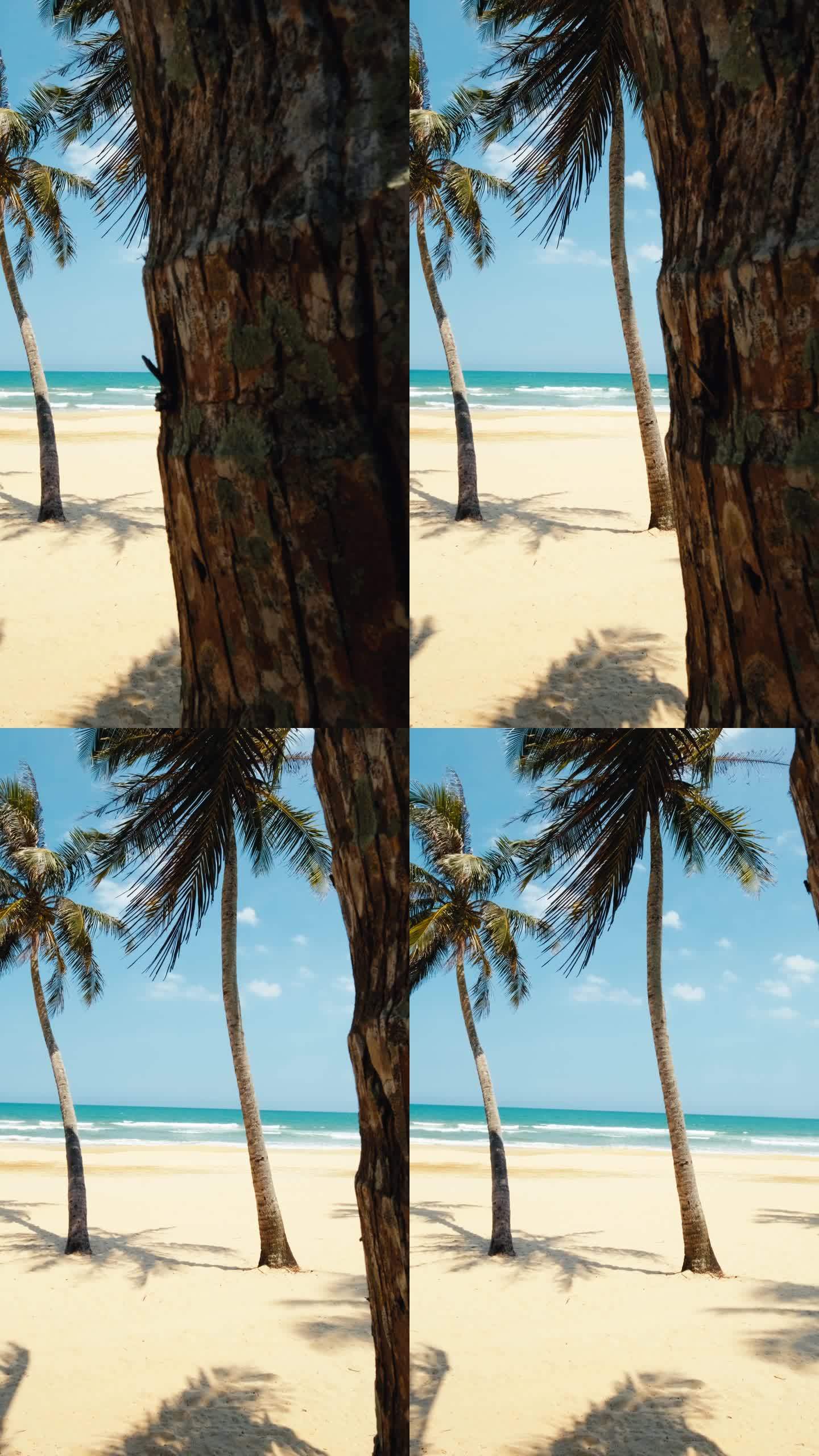 4K竖屏拍摄海南唯美椰树海滩