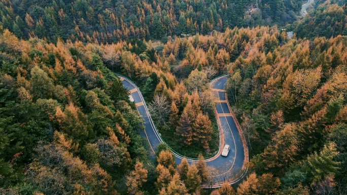 秋天 公路 自驾游 航拍 行驶的汽车