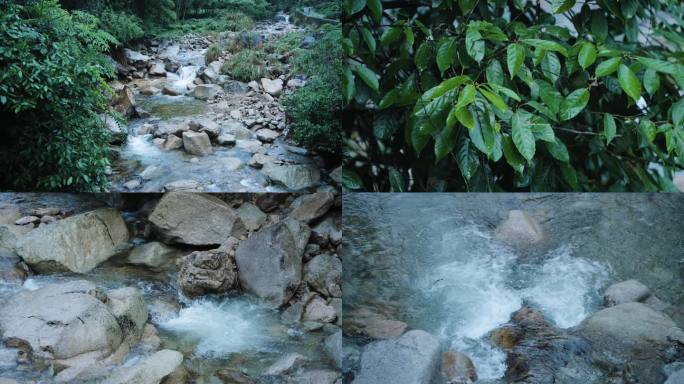 水流溪流大自然素材