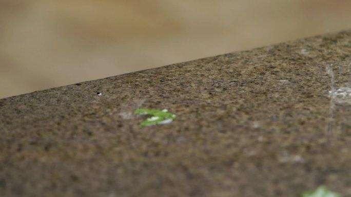 大雨淋湿地面