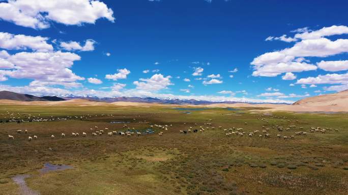 西藏山川祖国风光川西风景航拍中国自然风光
