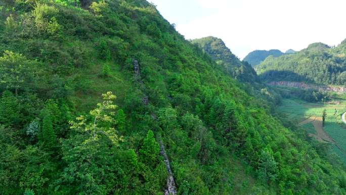 马关八寨阿雅古城遗址