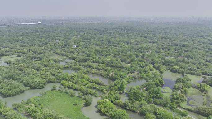 杭州西溪湿地