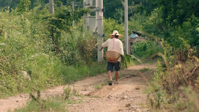 挑着扁担的农民回家路上