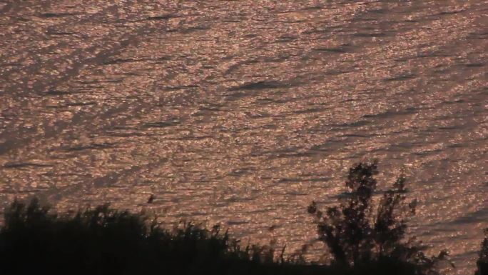 唯美夕阳水面波光粼粼 潮起潮落