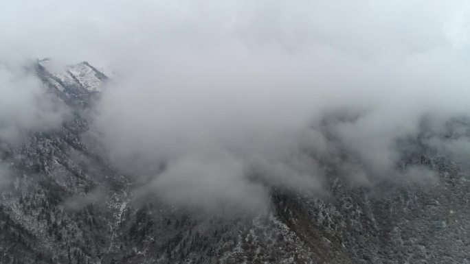 高原雪景