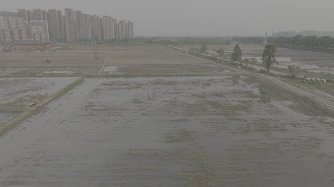 03夕阳航拍成都绕城高速湿地公园农田