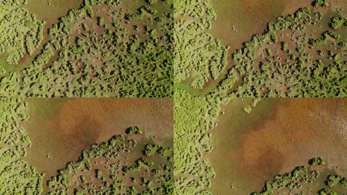 青海黄南泽库县泽曲湿地航拍