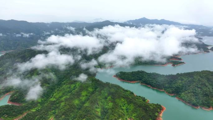 青山绿水