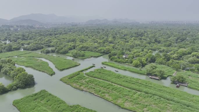 杭州西溪湿地